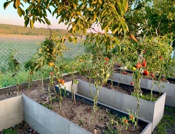 Cetris desky cementotřískové - 8