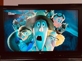 Televizor Sony KDL-40L4000 - 8