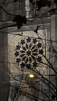 Xiaomi 15 Pro, 512GB,TOP - 8