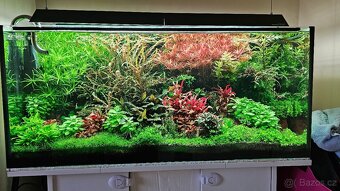 Chihiros LED WRGB II 90 100W 90-110cm s kontrolérem - 8