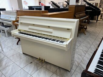 Bílá Yamaha B1 se zárukou 5 let, doprava zdarma. - 8