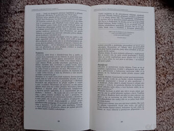 6 knih Prázdniny se šlehačkou, Zlatý fond her, Psychohry, .. - 8