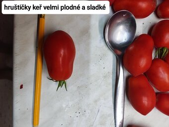 Sazenice perma kultura rajčat - Kadaň - 8