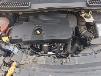 KUGA - 8