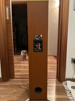 Reprobedny 2 sloupové +3 + věnuji DVD + zesilovač - 8