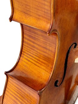 Mistrovské violoncello 4/4 model Montagnana - 8