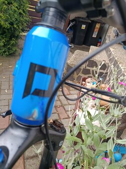 PELLS Thorr First ER - 8
