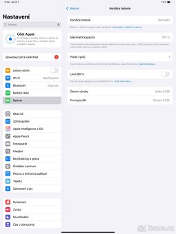Ipad Pro 13 M4 256gb Cellular - 8