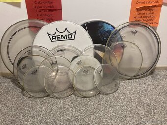 Remo Mastertouch USA - 8