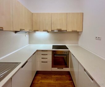 Krásný velký byt s garáží v centru Brna-Údolní ulice - 8