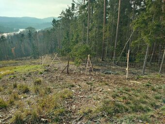 Stavba lesních oplocenek - 8