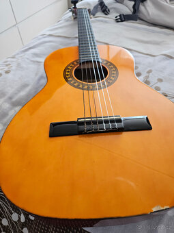 Kytara Stagg C530 - 8