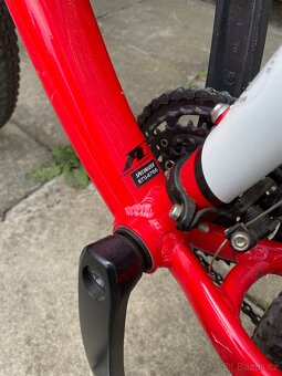 Kolo Specialized.Velikost rámu 19. Vel.(L) - 8