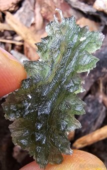 Vltavíny Besednice - 8