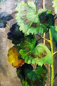 Zátiší s muškáty, H.Friedrich, 375 × 615 mm - 8