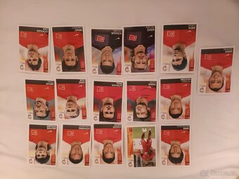 Sběratelské kartičky UEFA 2008 - 8
