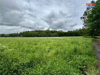 Prodej louky, 19172 m², Svojetice - 8