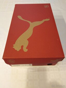 Lisovky PUMA ULTRA 5 MATCH FG/AG vel. 47 (12) - 8