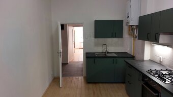 Pronájem nově zrekonstruovaného bytu 1+1 Teplice, Ruská - 8