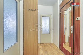 Pronájem bytu 1+1, 34 m², Dobřany, ul. F. X. Nohy - 8