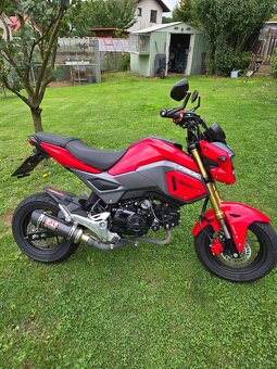 Honda MSX 125 - 8