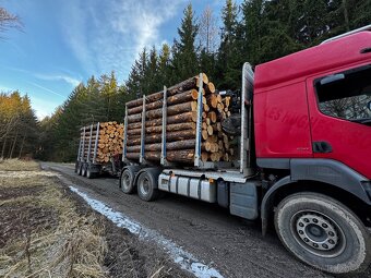 Renault Kerax 6x4 Lesovůz - 8