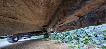Ford Turneo Connect 230L - 8