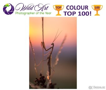 Nikon AF-S Micro 105mm f/2,8 G IF ED VR - 8