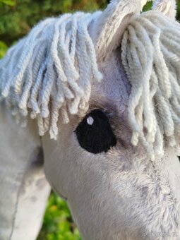 Hobby horse - 8