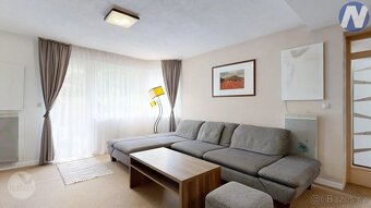 Horský apartmán Bianca 4+kk s privátním wellness a předzahrá - 8