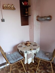 Prodám zahrádku 790 m2 - 8
