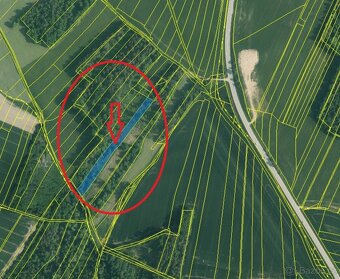 Prodej lesních pozemků v k.ú. Kočín - 8