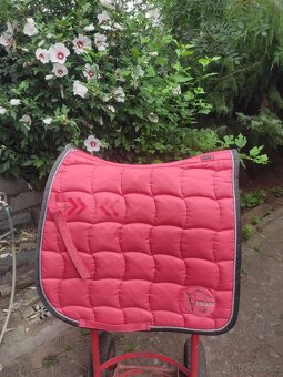 Drezurní dečky VÍCE KUSŮ - 8