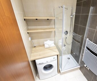 Pronájem luxusního bytu 1+kk s balkónem Praha 2 - Nové Město - 8