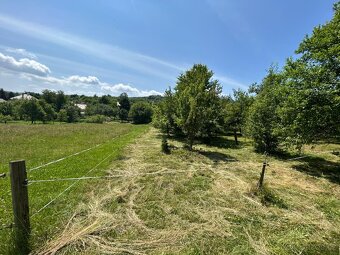 Zahrada 650m² - 8