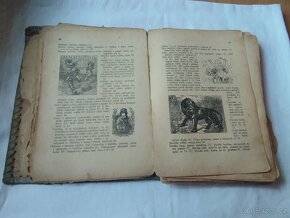 Starý Storchuv snář 1903 - 8