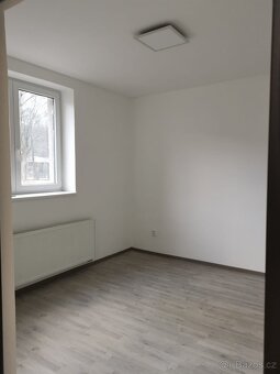 Pronájem bytu 3+KK - 8