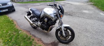 Yamaha Bulldog bt 1100 - 8