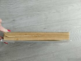 Dvacet tisíc mil pod mořem - 8