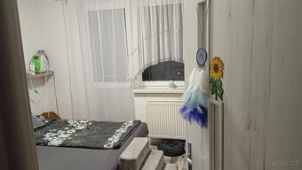 Pronájem bytu 3+1 Hradec Králové - 8