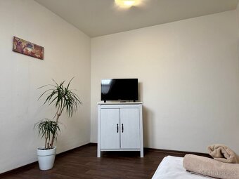 Pronájem pokoje 30 m² - 8
