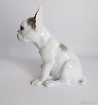 Porcelánová figura francouzského buldočka - Rosenthal - 8