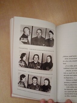 Životice - 8