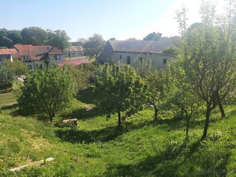 Prodej rodin.domu bez RK v obci Tulešice, okr. Znojmo - 8