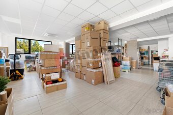 Pronájem komerčních prostor 378 m2, Žarošická, Brno - Vinohr - 8