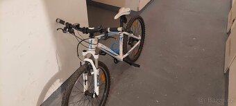 Author Sonic 24" - 8