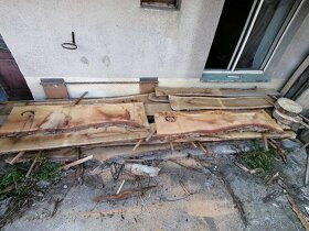 Fošny a hranolky přes 60 druhů exotiky i českých dřevin - 8