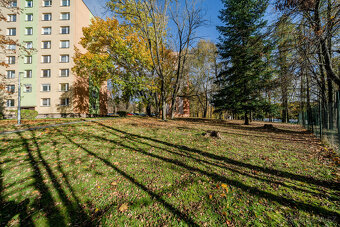 Pronájem, byt 3+1, 55 m, Kpt. Jaroše 787, Orlová - Lutyně, Č - 8