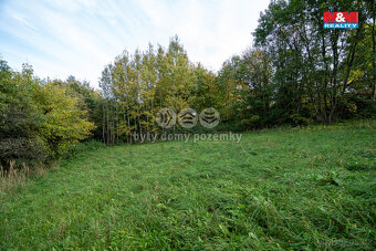 Prodej lesa, 752 m², Kosov - 8