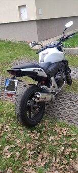 Honda Hornet CB600F - 8